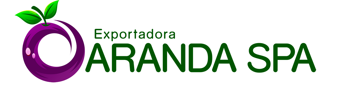 logo-aranda